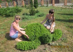 Великодолинське лісове господарство